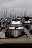 Monterey, CA, 2014 - Motorboat In Dock With Lots Of Other Boats photo