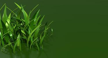 3D rendering of green grass. Nature grass cartoon. Green grass path isolated. 3D rendering illustration photo