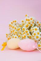 Happy Easter. Painted eggs with white daisy on pink background. Copy space photo