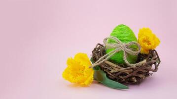 Green jute egg in nest with yellow tulips on pink background. Easter. Banner. Copy space photo