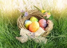 Painted Easter eggs in nest with bow and flowers on grass. Happy Easter concept. Copy space photo