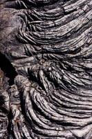 Patterns In Dried Black Lava Big Island Hawaii photo
