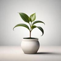 AI generated a small plant in a white pot on a beige background photo