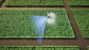 Agriculture drone using lidar scanning to spray fertilizer on the tomato fields, Innovation of smart farming concept, 3d render photo