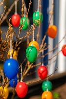 eggs as easter decoration on a bush photo
