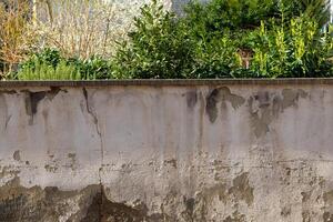 un antiguo arruinado pared con plantas foto