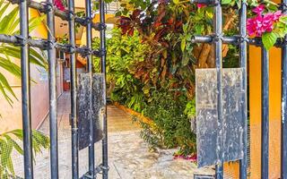 Beautiful black lattice gate entrance with pink tropical flowers Mexico. photo