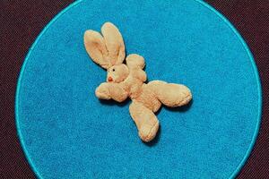 Brown cute bunny stuffed animal on blue background Blanket Germany. photo