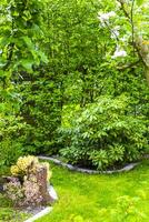 Garden with trees plants hut compost beds lawn in Germany. photo