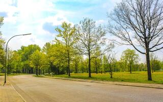 natural panorama ver caminando camino verde plantas arboles bosque Alemania. foto