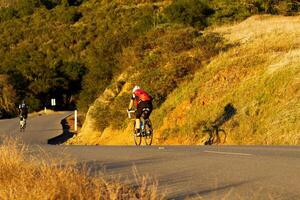 Mount Diablo, CA, 2015 - Two Bicycles Going Down Mountain Road Back To Camera photo