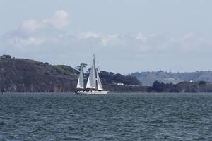 San Francisco, CA, 2014 - Two Masted Sailboat Under Sail On Bay photo