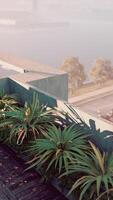 Balkon mit eingetopft Pflanzen und Regenschirm video