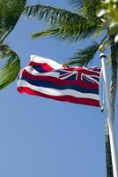 Bandera del estado de Hawaii en la pole con palmeras foto