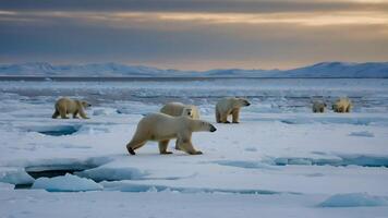 AI generated Arctic Wonderland  Polar Bears Roaming Ice-covered Landscapes photo