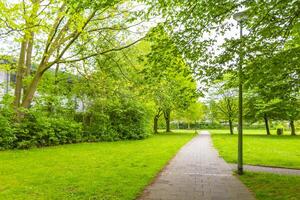 Natural panorama view walking path green plants trees forest Germany. photo