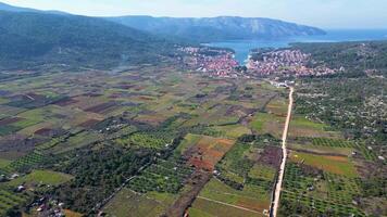 visie van stari grad duidelijk hvar eiland in Kroatië. de stari grad duidelijk is een ongelooflijk UNESCO wereld erfgoed plaats, waar de landbouw technieken praktisch niet veranderd sinds de 4e eeuw v.Chr. video