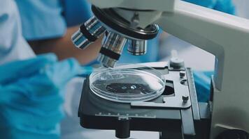 Health care researchers working in life science laboratory. Young female research scientist and senior male supervisor preparing and analyzing microscope slides in research lab. video