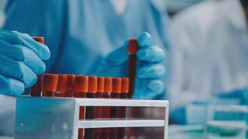 Health care researchers working in life science laboratory. Young female research scientist and senior male supervisor preparing and analyzing microscope slides in research lab. video