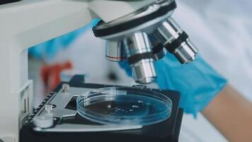 Health care researchers working in life science laboratory. Young female research scientist and senior male supervisor preparing and analyzing microscope slides in research lab. video