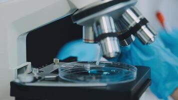 Health care researchers working in life science laboratory. Young female research scientist and senior male supervisor preparing and analyzing microscope slides in research lab. video