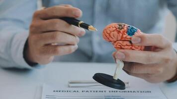 neuroloog hand- richten hersenen anatomie menselijk model- en hersenen ziekte laesie Aan wit achtergrond.deel van menselijk lichaam model- met orgaan systeem voor Gezondheid en dokter leerling studie in Universiteit. video