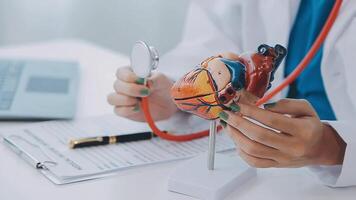 Anatomical model of the human heart in doctor's hands. Cardiological consultation, treatment of heart diseases. Medical concept video