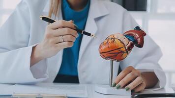 Anatomical model of the human heart in doctor's hands. Cardiological consultation, treatment of heart diseases. Medical concept video