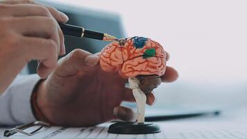 Neurologe Hand zeigen Gehirn Anatomie Mensch Modell- und Gehirn Krankheit Läsion auf Weiß Hintergrund.Teil von Mensch Körper Modell- mit Organ System zum Gesundheit und Arzt Schüler Studie im Universität. video