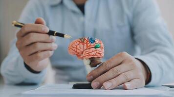 neurólogo mano señalando cerebro anatomía humano modelo y cerebro enfermedad lesión en blanco fondo.parte de humano cuerpo modelo con Organo sistema para salud y médico estudiante estudiar en universidad. video