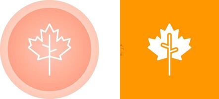 Maple leaf Vector Icon