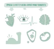 omega-3 benefits in this flat design vector. Heart health, brain function, and anti-inflammatory properties showcased with vibrant visuals and diverse nutrient-rich sources. A concise guide to wellnes vector