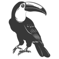 AI generated Silhouette Toucan bird animal black color only full body png