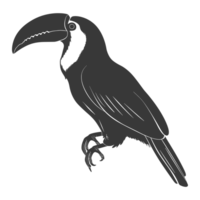 AI generated Silhouette Toucan bird animal black color only full body png