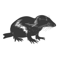 AI generated Silhouette platypus animal black color only full body png