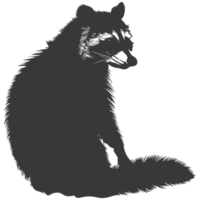 AI generated Silhouette Raccoon Animal black color only full body png