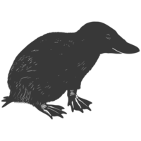 AI generated Silhouette platypus animal black color only full body png