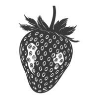 ai généré silhouette fraise fruit noir Couleur seulement png