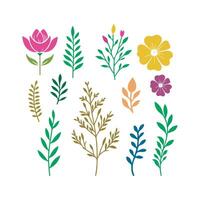 sencillo y botánico vector flores, plano diseño