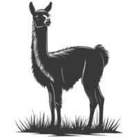 AI generated Silhouette llama animal black color only full body png