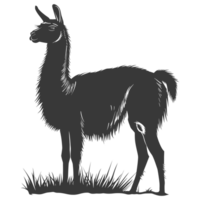 AI generated Silhouette llama animal black color only full body png