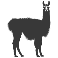 AI generated Silhouette llama animal black color only full body png