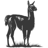 AI generated Silhouette llama animal black color only full body png