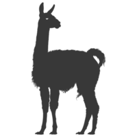 AI generated Silhouette llama animal black color only full body png