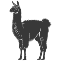 AI generated Silhouette llama animal black color only full body png