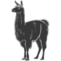 AI generated Silhouette llama animal black color only full body png