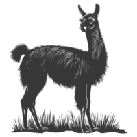 ai généré silhouette lama animal noir Couleur seulement plein corps png