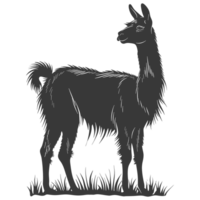 AI generated Silhouette llama animal black color only full body png