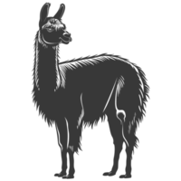 AI generated Silhouette llama animal black color only full body png