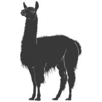 AI generated Silhouette llama animal black color only full body png